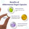 akkermansia probiotic
