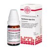 Sambucus nigra D10 DHU Globuli, 10 g Globuli