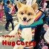 YuHaru Dog Leash with Shoulder Pad (Multicolor, S)