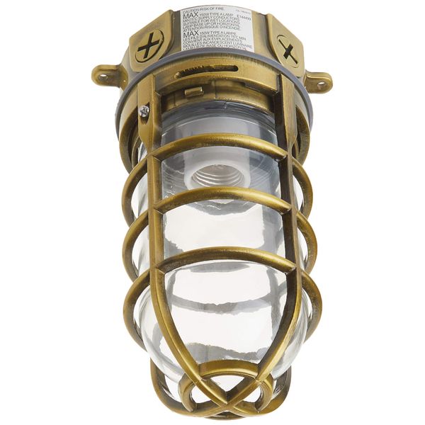 Woods L1706AB Vandal Resistant 150W Incandescent Security Light, Ceiling Mount, Antique Brass