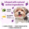 Buddycare - Shampoo for Dogs - Grape - 500ml x 3