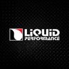 Liquid Performance 0230 Brake Cleaners