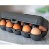 Koziol EGGS TO GO Egg Box, 10 Eggs, Storage Box with Clip Closure, Egg Container for Fridge, Plastic Egg Storage Box, Egg Box, Organiser, Natural Ash Grey