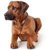 HUNTER Collar Sansibar Rantum Rope, 55 cm, Grey