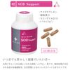 Mitocon Supplement (06 Circular Support), 30-Day Supply, 60 Tablets