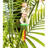 Polly's Cactus Delights Small