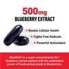 FORCE FACTOR Blueberry Concentrate 500mg with BlueRich Blueberry Extract, 90ct