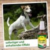 cdVet FlohEx 1192, 100 ml