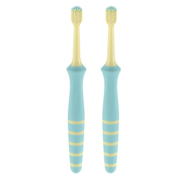 Richell Tri Good Night Tooth Mama Toothbrush, Set of 2 for Back Teeth, Toothbrush, Brush for Mom and Dad, 1 Year Old and Up