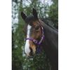 Saxon Economy Headcollar, Black, Full