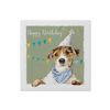 Macmillan Charity Assorted Birthday cards - 20 pack