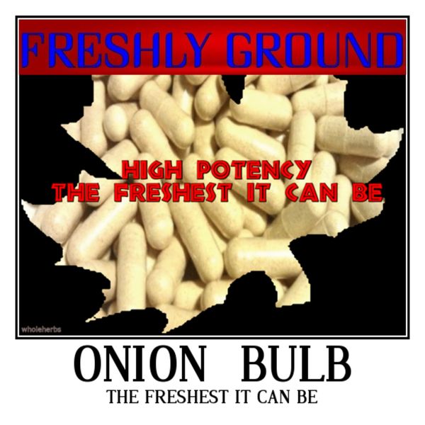 ONION BULB Only Fresh Ground The Freshest It Can Be 100 V Capsules