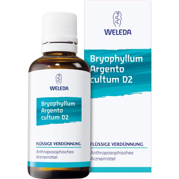 Bryophyllum Argento Cultum Rh D 3 Dilution 20 ml