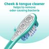 Colgate Battery Powered 360 Toothbrush with Tongue and Cheek Cleaner, Medium Toothbrush, 1 Pack