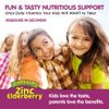 KAL Dinosaurs Zinc Elderberry ActivMelt |  90 Micro Tablets
