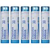 Boiron Cocculus Indicus 30C, Homeopathic Medicine for Motion Sickness (Pack of 5)