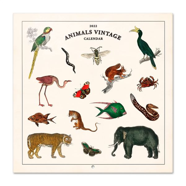 Grupo Erik: Official Vintage 2022 Animals Wall Calendar, 12' x 12' Square Family Calendar