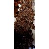 Cocoa Whole Beans  Hawaii Grown 100% Organic