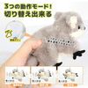 Cat Toy, Play Alone, Electric, Rechargeable, Moves, Sounds, Automatic (Sparrow)