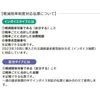 Hisago BS645T Invoice Compatible with 4 Sheets Horizontal Invoice Writing Instructions (Bookbinding Type), 50 Pairs