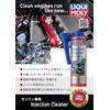LIQUIMOLY 20867 Injection Cleaner 10.1 fl oz (300 ml)