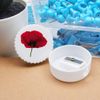 'Poppy' Compact Pencil Sharpener (PS00017826)