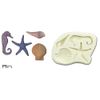 DPMCO.Ltd Seashore Mould Extra Large