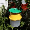 IPM Direct Moth Bucket Trap & Pheromone Lures (Codling Moth)