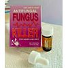 Antifungal-Fun