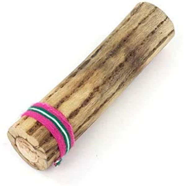 Cactus Rainstick Rain Sound Effect Fair Trade From Chile (15cm)