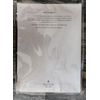 Dermstore Exfoliating Mitt - NIB