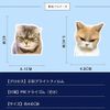 100 Pcs Doodle Stickers DIY Cat Stickers Idea Cup Computer Guitar Notebook Tool Box
