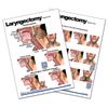 Blue Tree Publishing Laryngectomy, Anatomical Chart