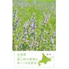Natural Island Forest Skin Protector, UV 55g