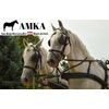 AMKA Bockdecke Fahrsport Kutsche Bockschürze im Karodesign
