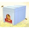 Deluxe Mini Mating nuc Box Queen Bee Rearing Plastic Styrene Foam box 4-frame