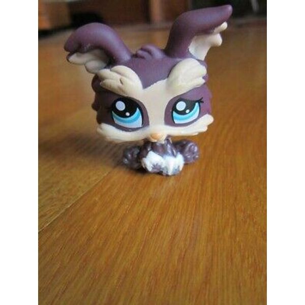 Littlest Pet Shop Yorkie Brown Dog #1473  LPS FREE SHIP