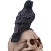 Nemesis Now Raven's Spell 4.05" Black
