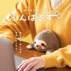 Funbaruzu (L) Sloth VRT42835