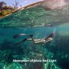 PGYTECH Filter for OSMO ACTION (Diving Filter)