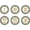 Teacher Created Resouces Eucalyptus Numbers 1-36 Repositionable Labels - 4"