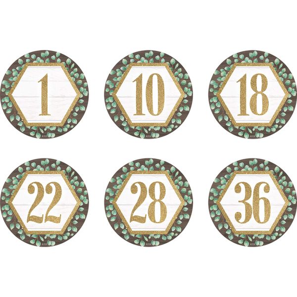 Teacher Created Resouces Eucalyptus Numbers 1-36 Repositionable Labels - 4"