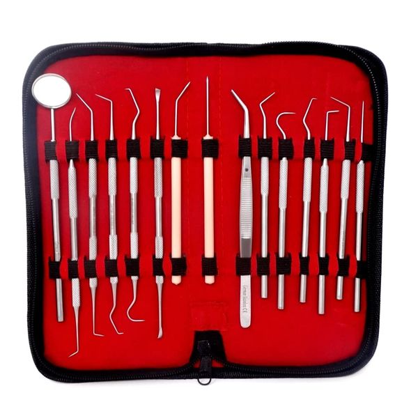 15 Pcs Oral Hygiene Kit Plaque Remover Professional Dental Picks Set Double & Single Ended Picks + Scraper, Mouth Mirror & Tweezers for Gum Care Cleaning Set Stainless Steel with Carrying Case