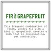 Barr-Co. Fir & Grapefruit Scent Diffuser Kit, Bright Grapefruit & Cooling Balsam Scent, Reed Diffuser for Home, Long Lasting Aroma Diffuser, Refillable, 8 fl oz