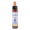 Healing Herbs/Flower Essence [Horn Beam]