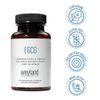 Weyland - EGCG from Green Tea Extract, 400 mg - Antioxidant Supplement - Vegan, Gluten Free - 100 Vegetarian Capsules (Pack of 3)