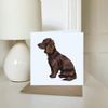 'Sprocker Spaniel' Blank Greeting Card (GC00035460)