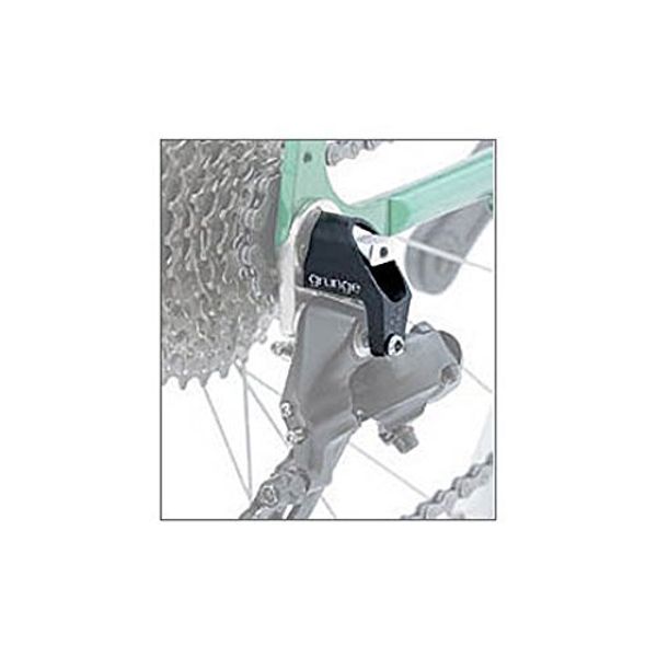 grunge R2 Derailleur Guard