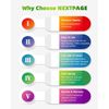 NEXTPAGE CLI42 Light Gray Ink Cartridges Replacement for Canon CLI-42 CLI42 Light Gray Ink Work for Pixma Pro-100 Pro-100s Printer (CLI42 LGY 4 Pack)