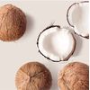 NATURE WELL Extra Virgin Coconut Oil Moisturizing Cream for Face, Body, & Hands, Anti Aging, Firming, Restores Skin's Moisture Barrier, Provides Intense Hydration For Dry & Dull Skin (16 Oz)